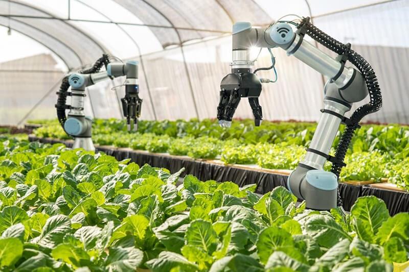 robot trong nông nghiệp